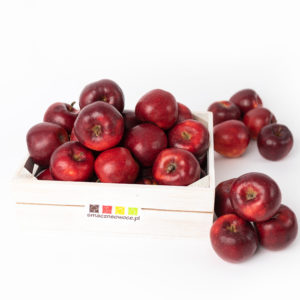 Jonagold Pagacz - autorska odmiana jabłoni