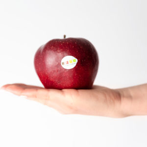 Zdjęcie Jabłek Pagacz