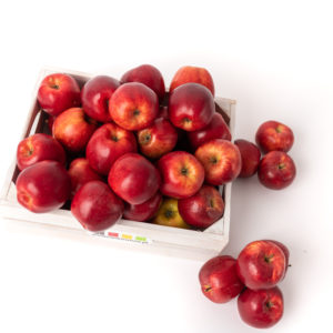 Zdjęcie Jabłek Pagacz