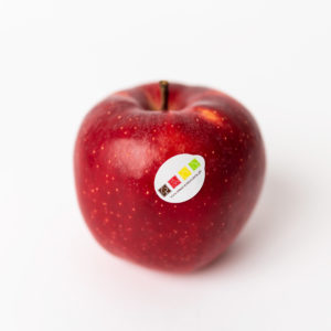 Zdjęcie Jabłek Pagacz