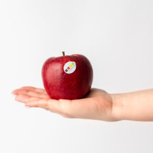 Zdjęcie Jabłek Pagacz